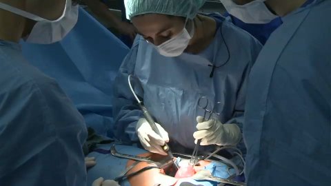 Seraseal Myom (German) 1