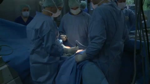 Seraseal Vas Vasorum Preview 1