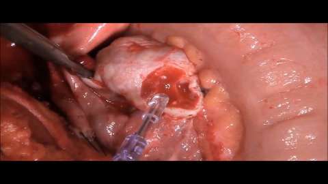 Wortham Laboratories