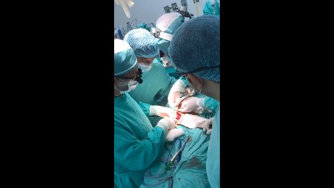 Seraseal Aplicación Cirugía De Riñón